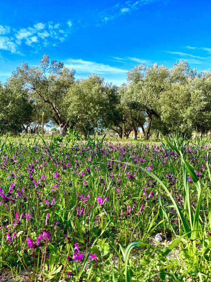 Alacati Barbarossa Hotel Çeşme Exteriör bild